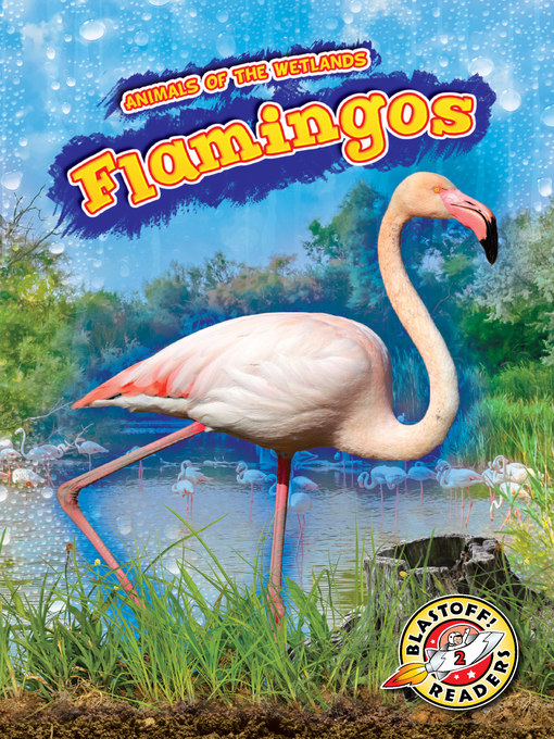 Title details for Flamingos by Karen Latchana Kenney - Available